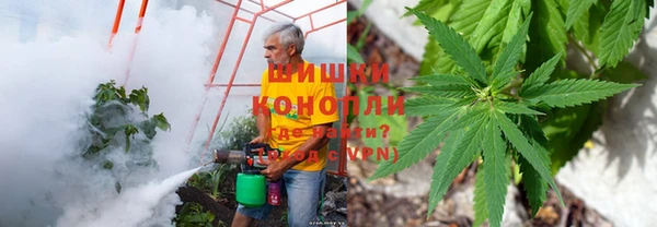 ПСИЛОЦИБИНОВЫЕ ГРИБЫ Белоозёрский