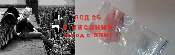 ПСИЛОЦИБИНОВЫЕ ГРИБЫ Белоозёрский