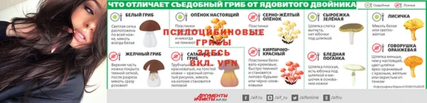 мдпв Сосновый Бор