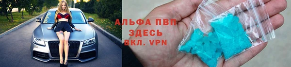 apvp Белокуриха