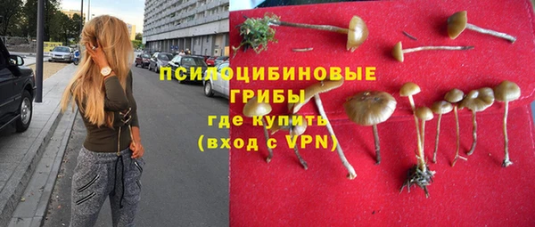 apvp Белокуриха