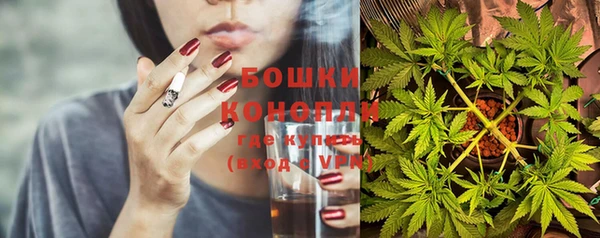 ПСИЛОЦИБИНОВЫЕ ГРИБЫ Белоозёрский