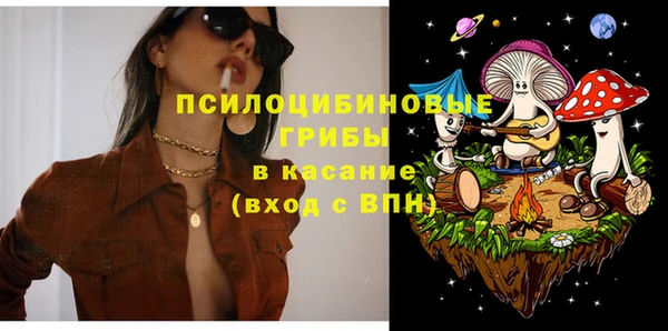 apvp Белокуриха