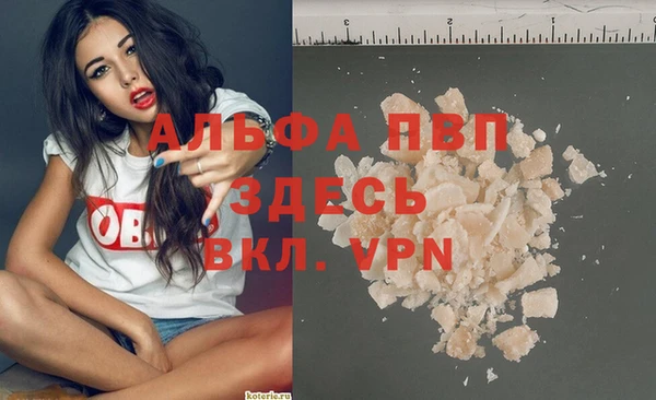 ПСИЛОЦИБИНОВЫЕ ГРИБЫ Белоозёрский