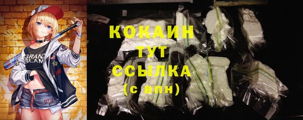 apvp Белокуриха