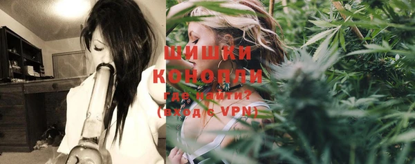 apvp Белокуриха