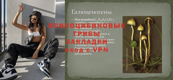 сатива Сосновоборск