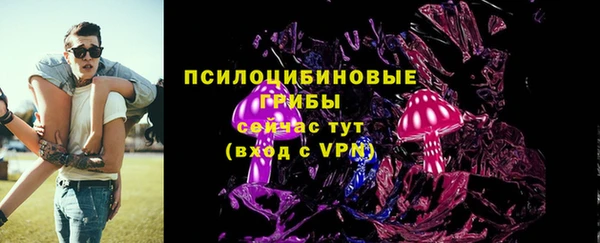 apvp Белокуриха