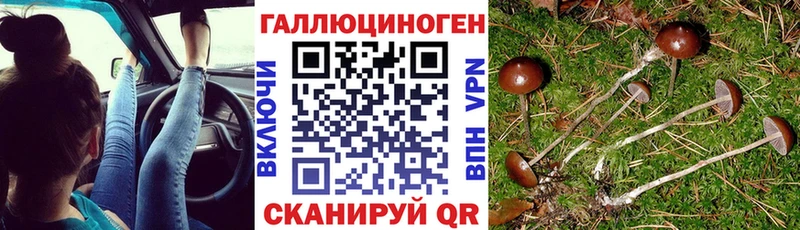 Галлюциногенные грибы Magic Shrooms Кремёнки