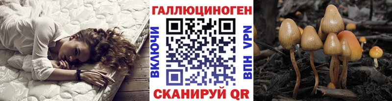 Галлюциногенные грибы Psilocybe  Кремёнки 